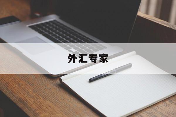 外汇专家(外汇专家坐堂实录)